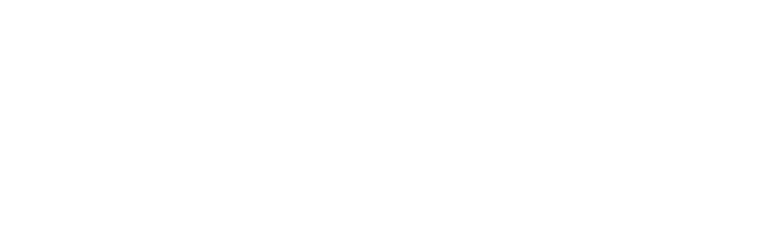 anovis Logo